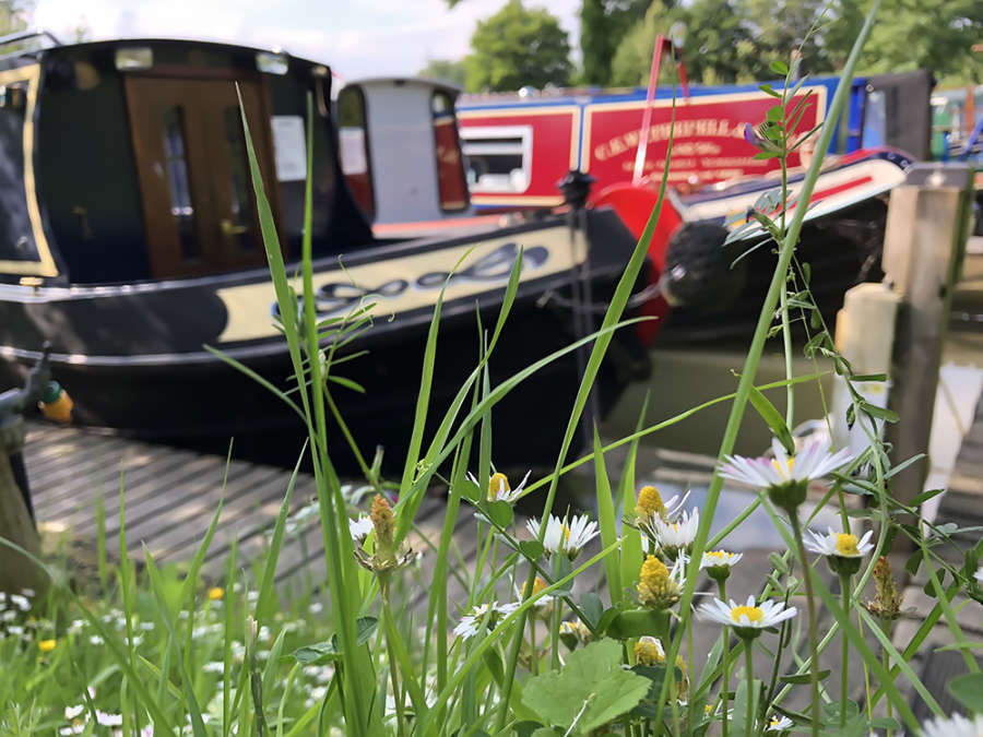 Crick Wharf Marina